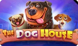 FatPirate Casino – The Dog House
